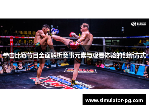 拳击比赛节目全面解析赛事元素与观看体验的创新方式