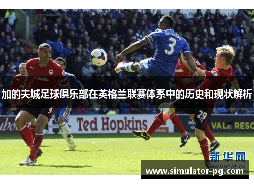 加的夫城足球俱乐部在英格兰联赛体系中的历史和现状解析