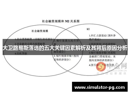 大卫路易斯落选的五大关键因素解析及其背后原因分析
