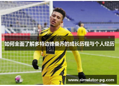 如何全面了解多特边锋桑乔的成长历程与个人经历