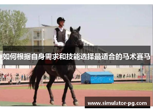 如何根据自身需求和技能选择最适合的马术赛马