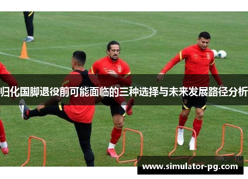 归化国脚退役前可能面临的三种选择与未来发展路径分析