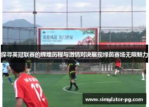探寻英冠联赛的辉煌历程与激情对决展现绿茵赛场无限魅力